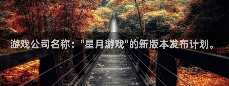 蓝图娱乐注册平台怎么注册不了：游戏公司名称：\