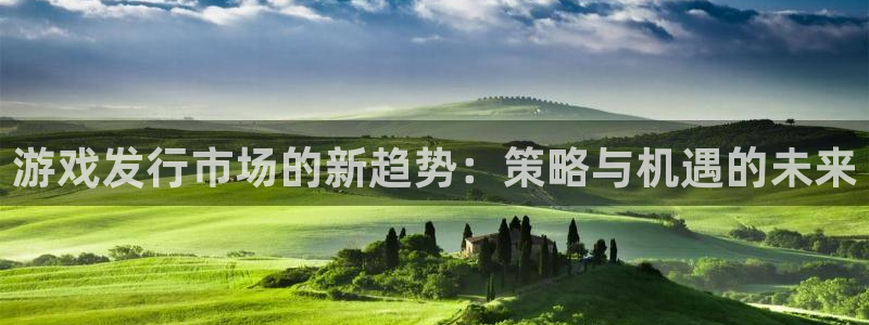 蓝图娱乐注册地址在哪里查：游戏发行市场的新趋势：策略与机遇的未来