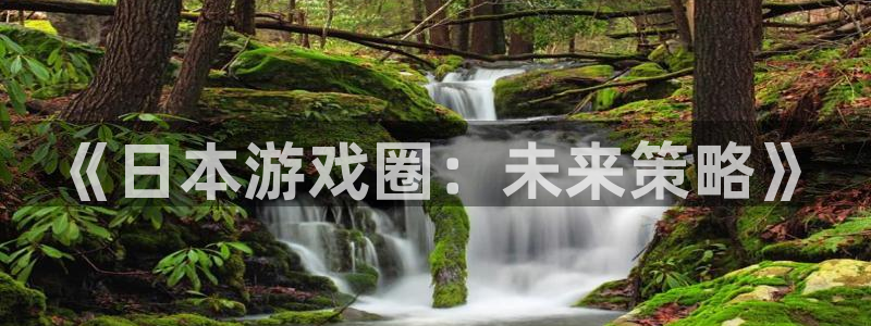 蓝图娱乐平台代理开号流程：《日本游戏圈：未来策略》