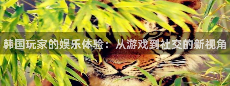 蓝图娱乐登录注册账号失败怎么办：韩国玩家的娱乐体验：从游戏到社交的新视角