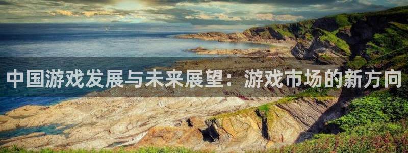 蓝图娱乐官网实业投资(东莞)有限公司：中国游戏发展与未来展望：游戏市场的新方向