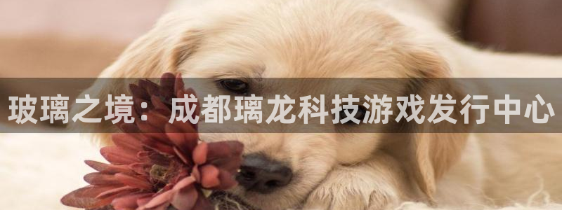 蓝图娱乐官网logo片头米高梅狮子：玻璃之境：成都璃龙科技游戏发行中心