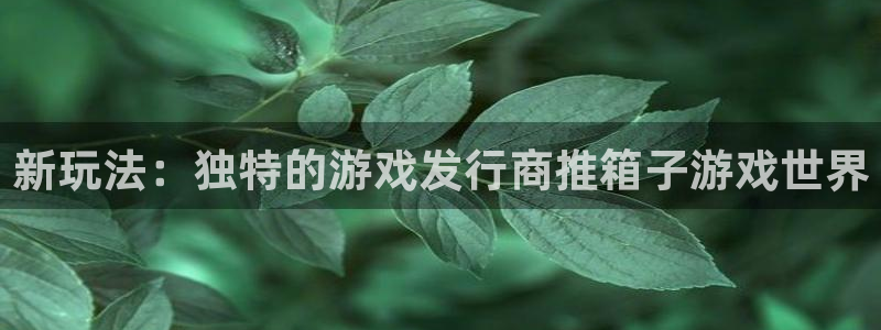 蓝图娱乐官网涂料怎么样：新玩法：独特的游戏发行商推箱子游戏世界