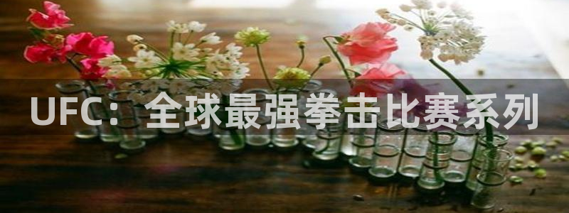 蓝图娱乐官网集团公司怎么样